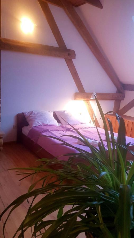 Appartement Dziewanna à Brzeziniec Extérieur photo